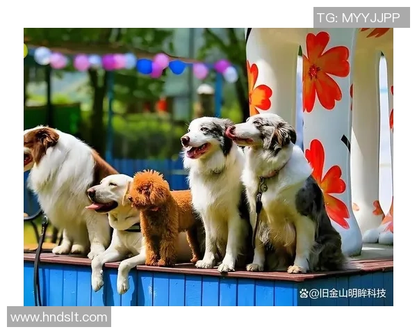 足球球星们的宠物狗名字大揭秘 这些萌宠背后的故事你知道吗